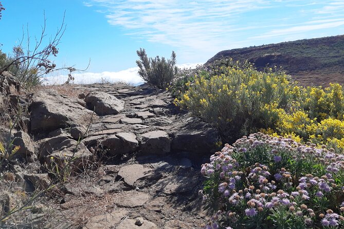 Hiking experience in the north of Gran Canaria - Hiking Gear That Keeps You Comfortable (and Safe)