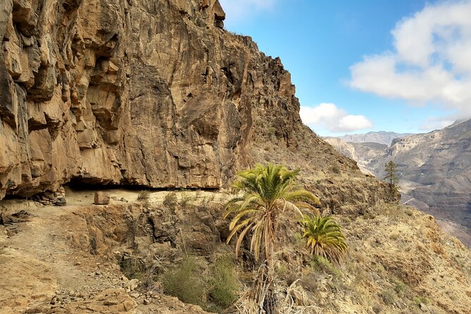 Hiking experience in the north of Gran Canaria - Meeting at Maspalomas: How the Start Works