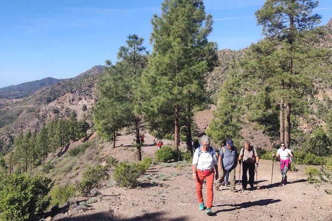 Hiking in the Sacred Mountains of Gran Canaria: UNESCO - The price: does $107.17 make sense for a 7-hour UNESCO hike?