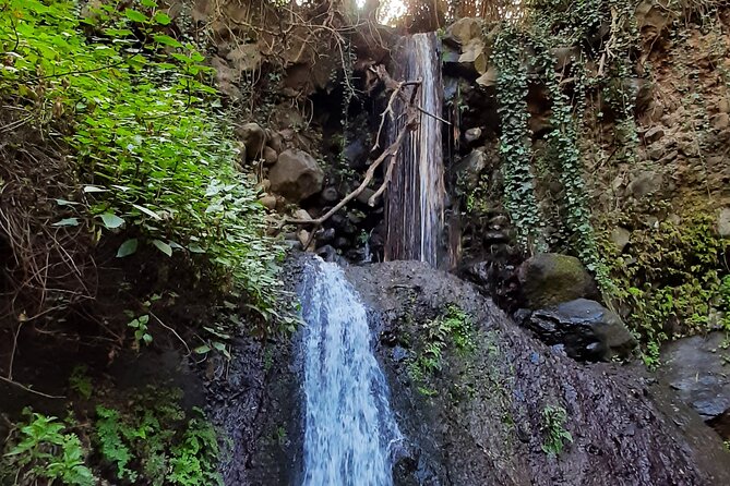 Hiking in Waterfalls & Rainforest with local guides: Sky Rebels - Transport + timing: why the 8:30 am start is smart value