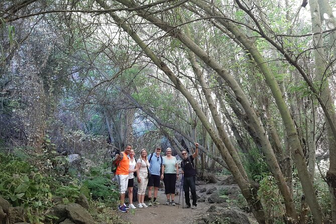 Hiking in Waterfalls & Rainforest with local guides: Sky Rebels - Included food: brunch sandwiches and fruit keep you moving