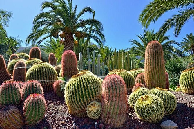 Las Palmas, Botanical Garden & Bandama Crater tour - Gran Canaria - Las Canteras and Las Arenas: the easiest way to end strong