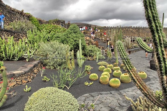 Las Palmas, Botanical Garden & Bandama Crater tour - Gran Canaria - Caldera de Bandama viewpoint: short stop, big view payoff