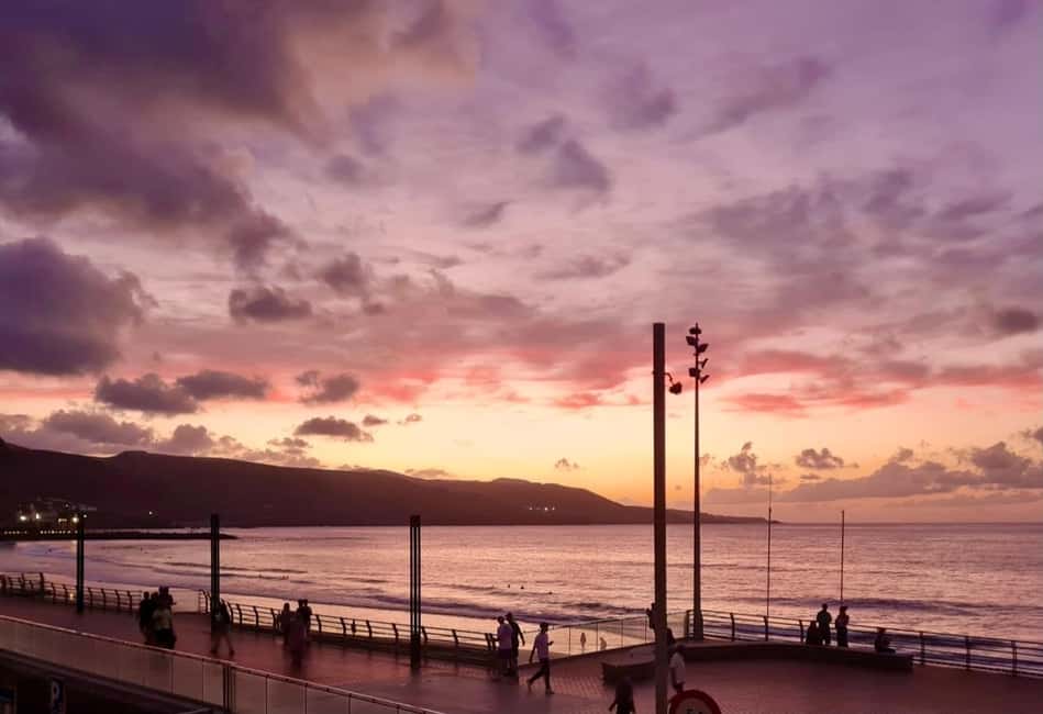 Las Palmas: City, Harbor, and Beach Walking-Hiking Tour - The harbor segment: what you actually gain from a guide