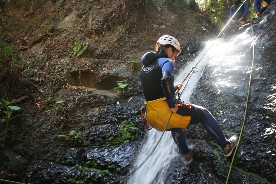 Las Palmas, Gran Canaria: Canyoning Adventure - Rappels, Pools, and Jungle Steps: What the Descent Really Looks Like