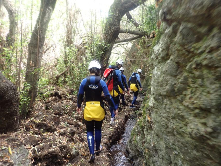 Las Palmas, Gran Canaria: Canyoning Adventure - Small Group Energy (Up to 10): Why It Matters Mid-Descent