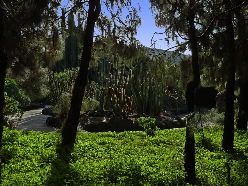 Las Palmas: Privat Botanic Garden Tour & opt. hike Extension - Key highlights worth marking on your map