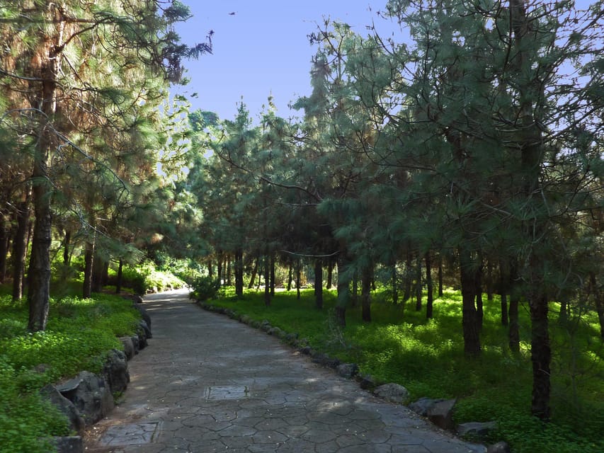 Las Palmas: Privat Botanic Garden Tour & opt. hike Extension - Getting there from Las Palmas Old Town: pickups and drop-offs