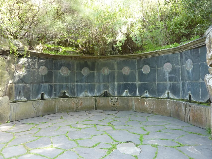 Las Palmas: Privat Botanic Garden Tour & opt. hike Extension - After the tour: Old Town freedom or staying in the gardens longer