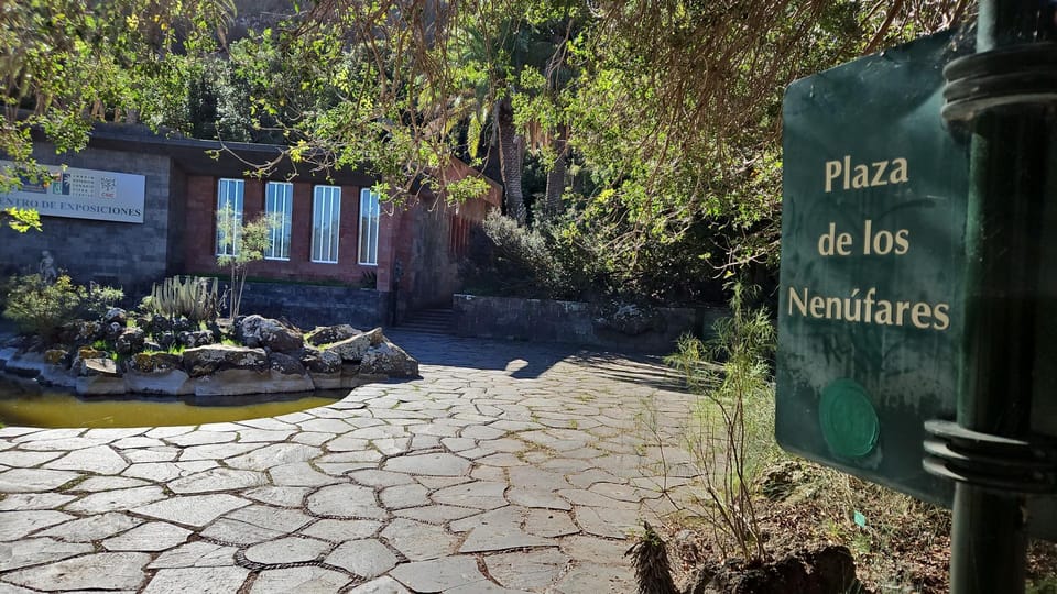 Las Palmas: Privat Botanic Garden Tour & opt. hike Extension - Optional hike extension (2 hours): the scenic mountain/ravine route back