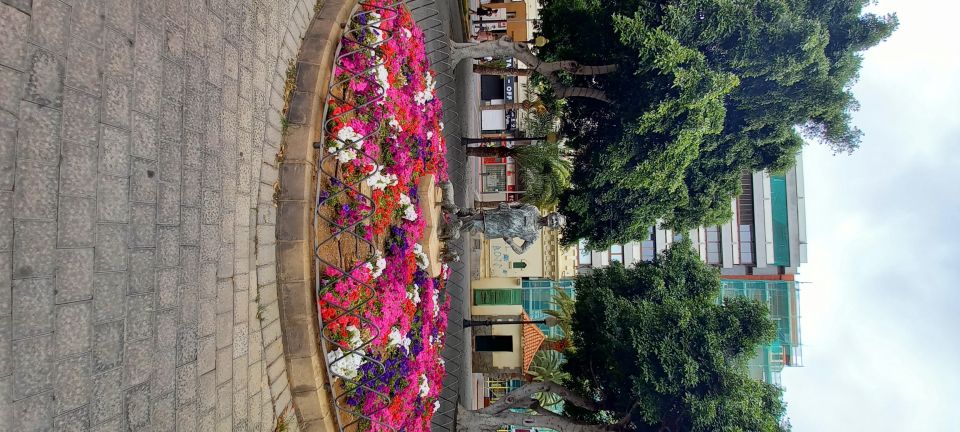 Las Palmas: Private City Highlights & Northern Villages Tour - Plaza de España and the Santa Catalina area: where the city feels real