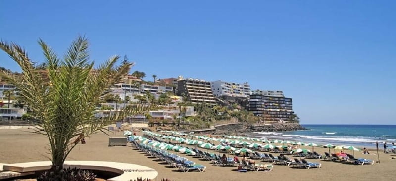 Maspalomas: 1 Hour Segway Sightseeing Tour - Price and value: why $51 can make sense here