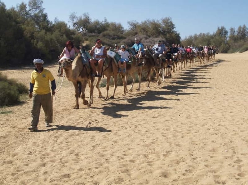 Maspalomas: 2-Seater E-Scooter Dunes Tour with Camel - Key things to know before you go