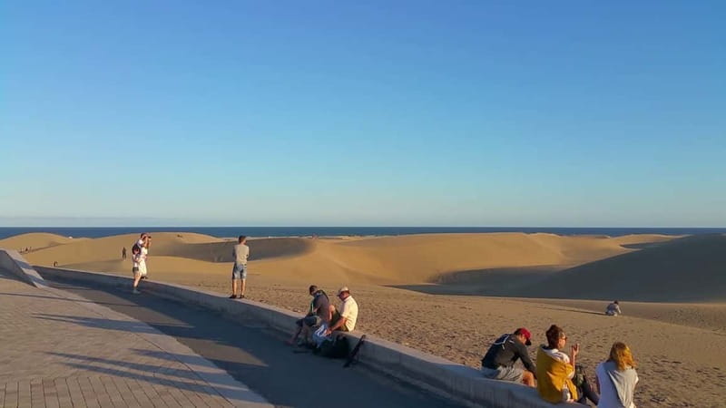 Maspalomas: 2-Seater E-Scooter Dunes Tour with Camel - The Charca lagoon: a birdwatching pause that actually earns its time
