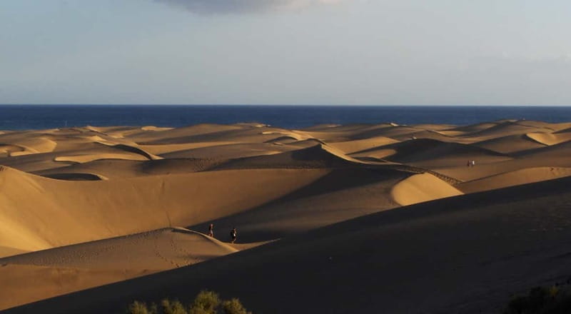 Maspalomas: 2-Seater E-Scooter Dunes Tour with Camel - Botanical Garden: where the pace slows for a reason