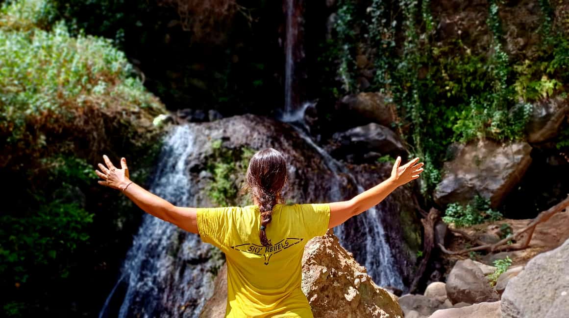 Maspalomas: Barranco de los Cernicalos Rainforest Hike - Key Highlights You’ll Care About