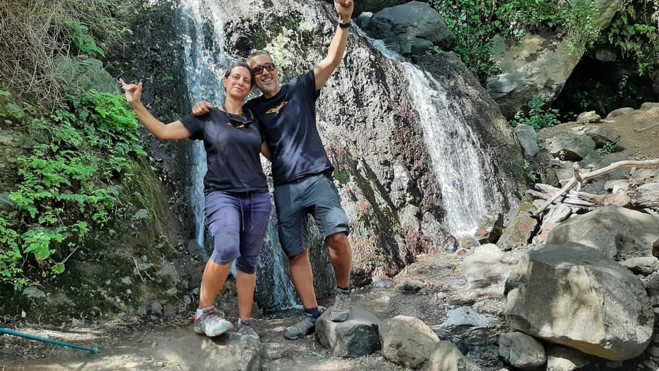 Maspalomas: Barranco de los Cernicalos Rainforest Hike - Who This Tour Fits Best (and Who Should Skip It)