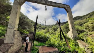 Maspalomas: Barranco de los Cernicalos Rainforest Hike - Inés & Juanjo: The Two-Guide Difference You’ll Feel