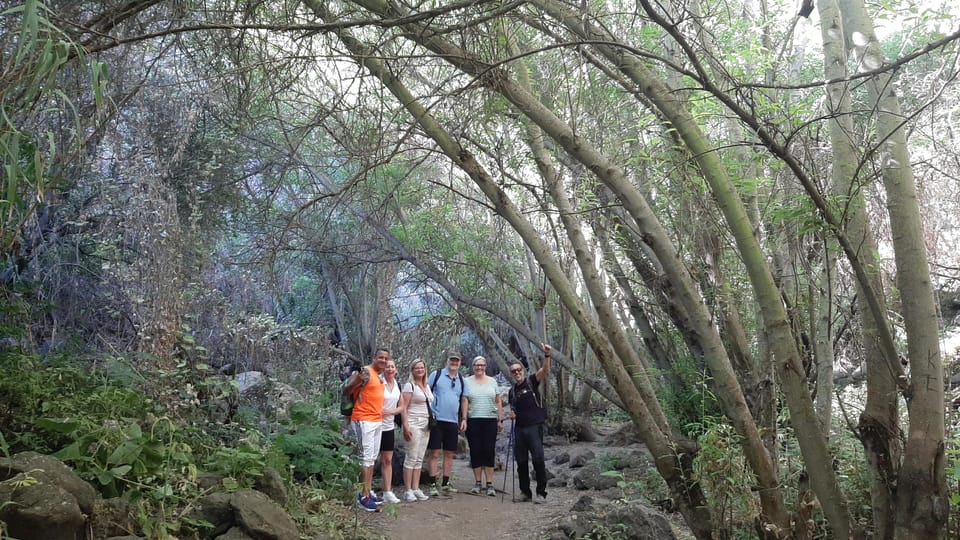 Maspalomas: Barranco de los Cernicalos Rainforest Hike - What You’ll Learn: Endemic Species and Local Resource Life