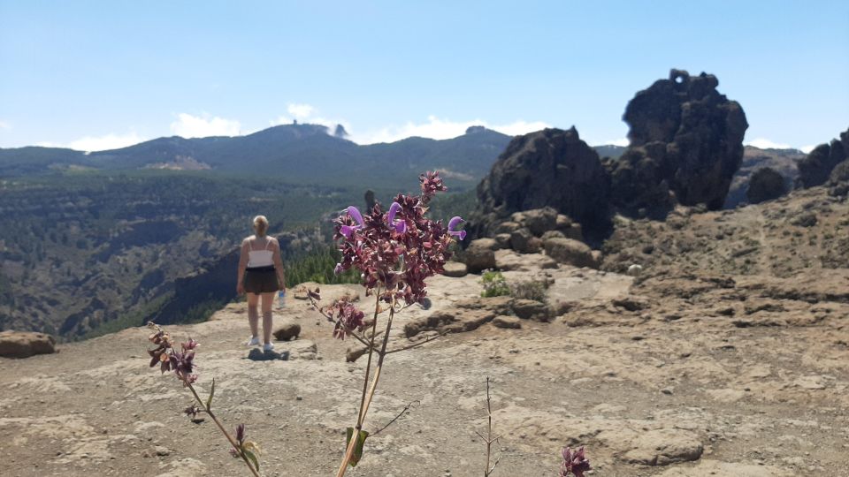 Maspalomas: Hiking to Roque Nublo with 2 authorised guides - In the Van: Scenic Drive and What to Notice Before You Hike