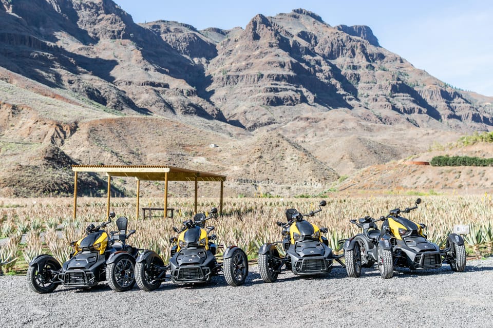 Maspalomas: Ryker Moto Tour to Fataga (Mountain buggy) - Aloe Vera plantation stop: why it fits on a mountain ride