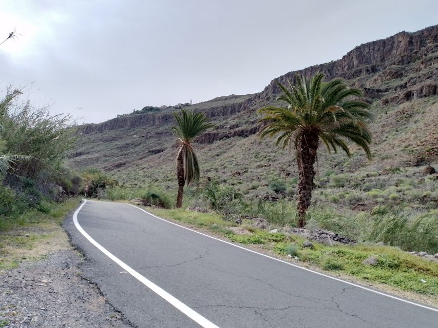 Maspalomas: Southern Coast E-Bike Tour Option Tapas Tasting - Key things you’ll remember from this Maspalomas e-bike tour