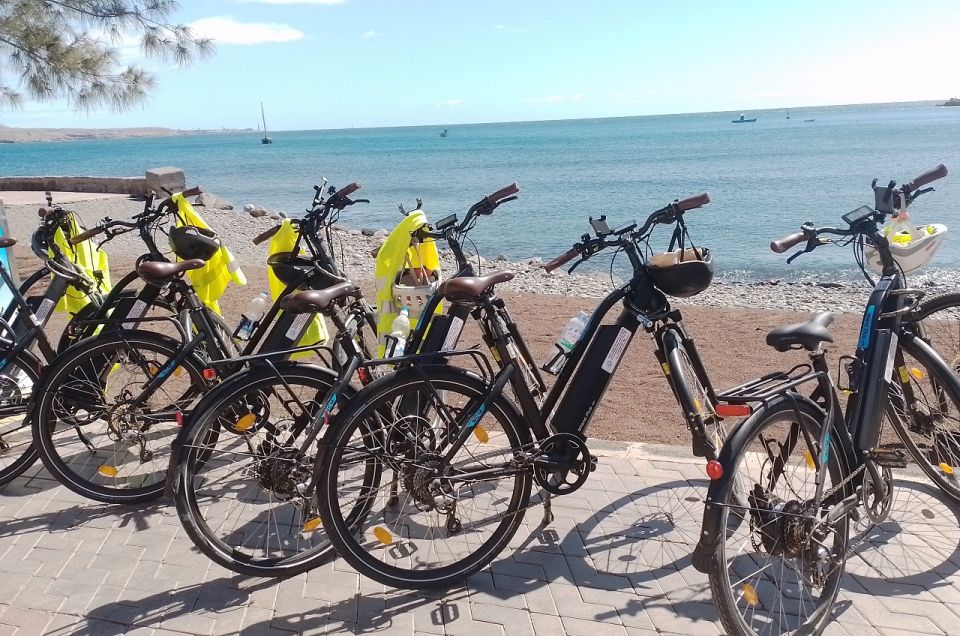 Maspalomas: Southern Coast E-Bike Tour Option Tapas Tasting - Botanical Garden walk: learning tropical plants without turning it into a classroom
