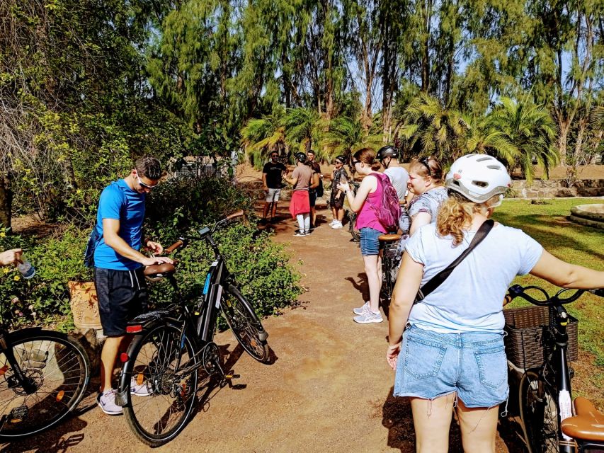 Maspalomas: Southern Coast E-Bike Tour Option Tapas Tasting - Banana plantation stop: a small detour with a big story