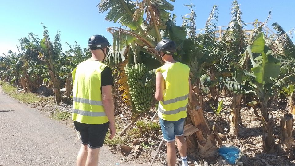 Maspalomas: Southern Coast E-Bike Tour Option Tapas Tasting - El Pajar fishing village: volcanic beach scenery plus the optional tapas lunch