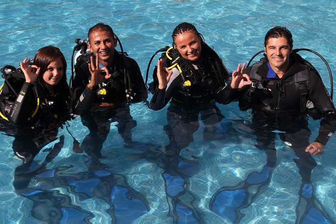 Open Water Diver Scuba Diving Course in Puerto de Mogan - Puerto de Mogán is a smart place to start your PADI Open Water certification