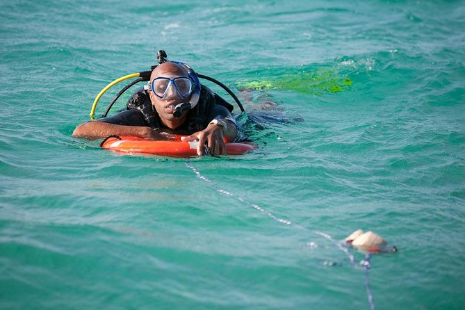 PADI Rescue Diver Course in Gran Canaria - Price and value: what $397.58 includes (and why it matters)