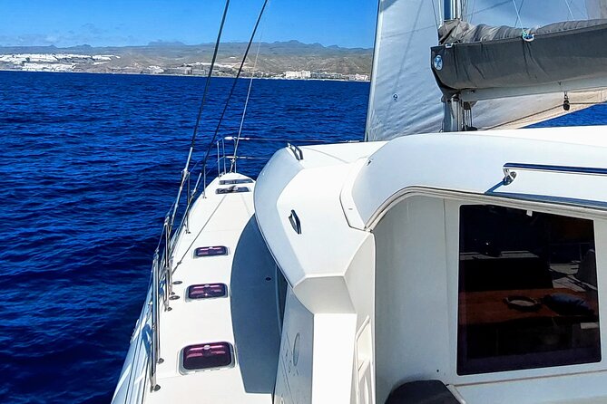 Private 5 hour catamaran cruise in south of Gran Canaria - Service quality: what the best reviews are really praising