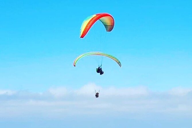 Private Activity Paragliding Flight in Gran Canaria - Meeting Point in Las Palmas: Plan for a Smooth Start