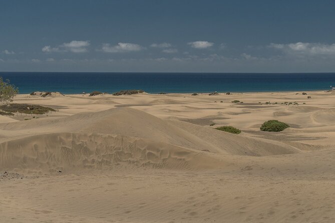 Private shore excursion in Gran Canaria the miniature continent - Tejeda and the almond taste test in the center