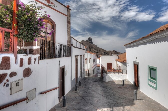 Private shore excursion in Gran Canaria the miniature continent - Price and value: what $596.12 really means for your group