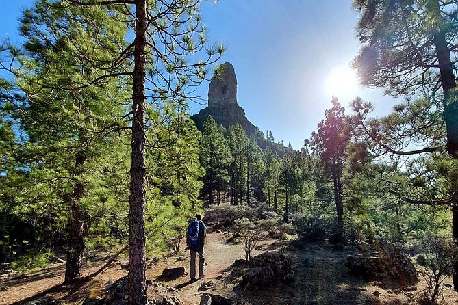 Professional climbing guide - Price and value: what you’re really paying for