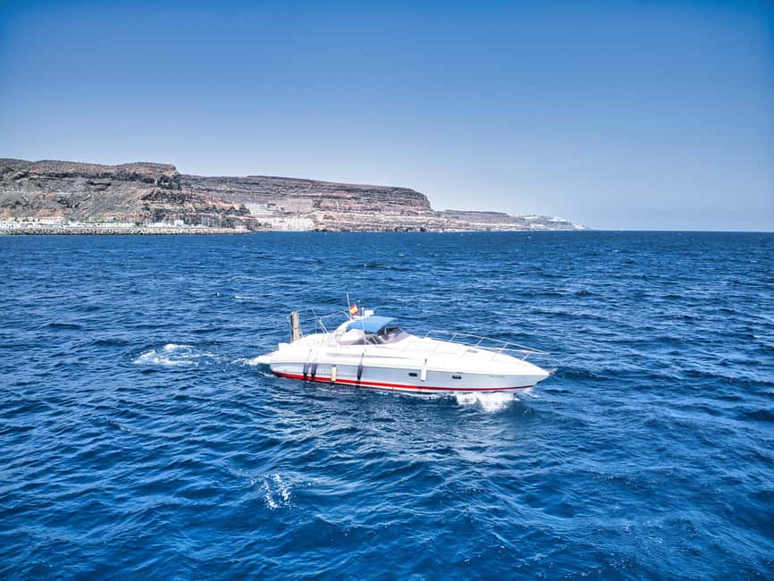 Puerto de Mogán: PRIVATE Yacht for up to 10 persons - Paddle surfing in calm water: the activity that feels fun, not stressful