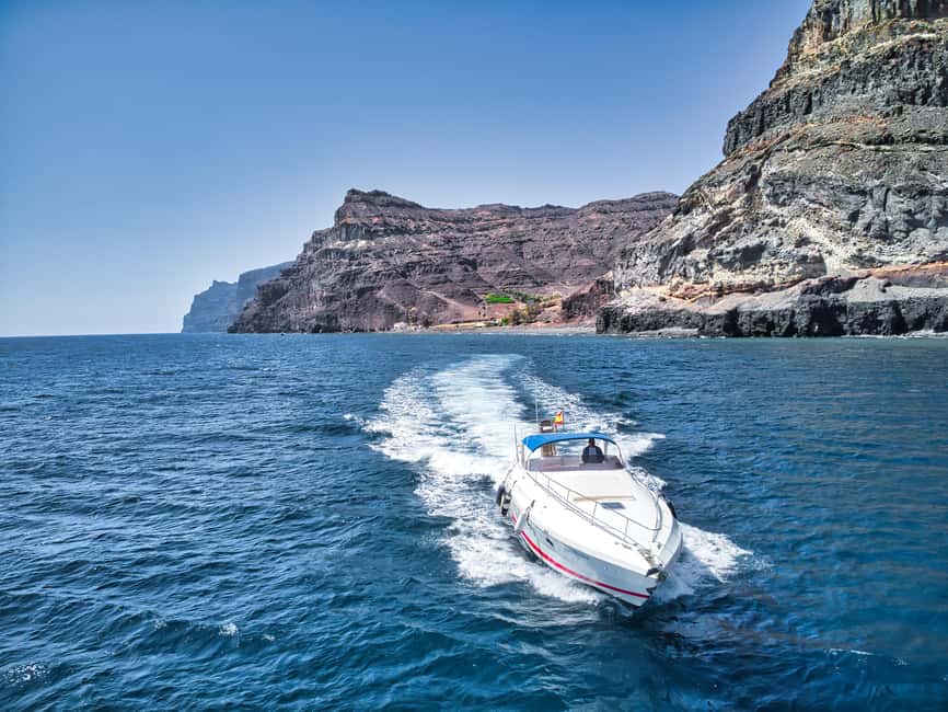 Puerto de Mogán: Private yacht up to 10 persons - Wildlife spotting: when the crew helps you look