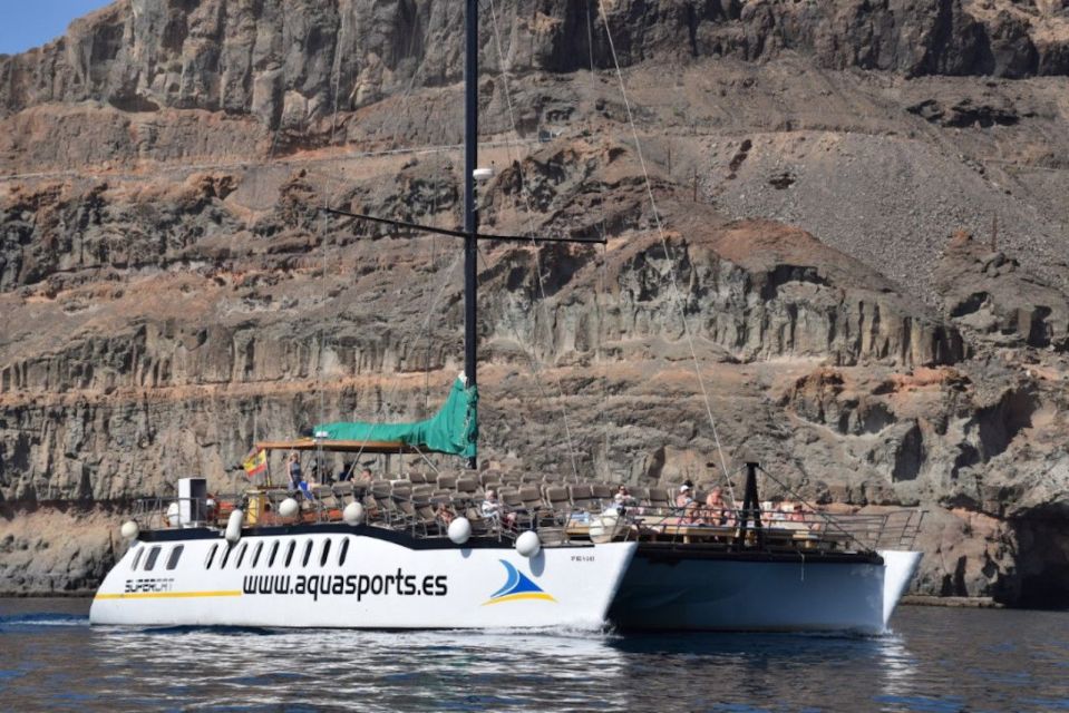 Puerto Rico de Gran Canaria: Premium Dolphin Catamaran Tour - Getting picked up and dropped off: Bahia Feliz to Mogán only