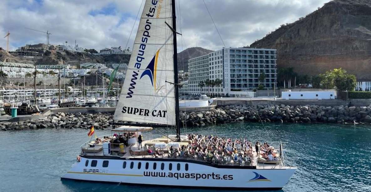 Puerto Rico de Gran Canaria: Premium Dolphin Catamaran Tour - Wildlife spotting: dolphins, turtles, flying fish, and whales