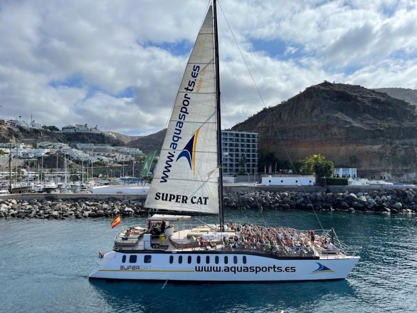 Puerto Rico de Gran Canaria: Premium Dolphin Catamaran Tour - Onboard comfort: sun time, soft seating, and a smoker area