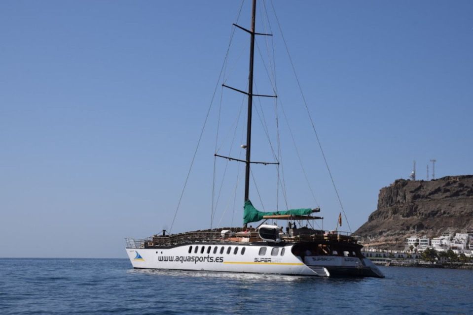 Puerto Rico de Gran Canaria: Premium Dolphin Catamaran Tour - Drinks and lunch onboard: what you’re paying for