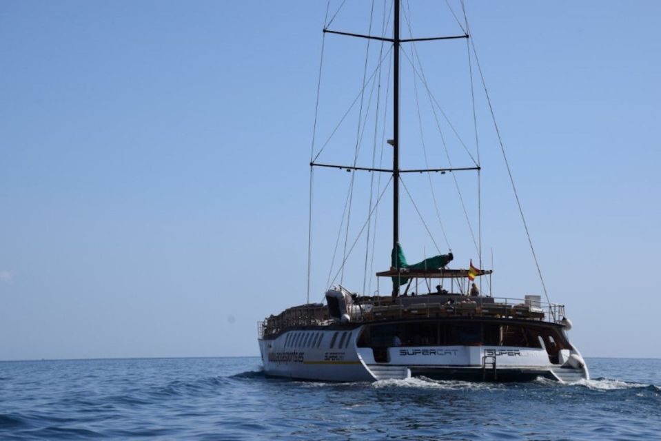 Puerto Rico de Gran Canaria: Premium Dolphin Catamaran Tour - Snorkel goggles, banana boat, and the water-sports discount