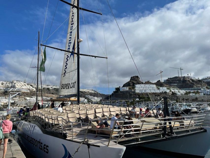 Puerto Rico de Gran Canaria: Premium Dolphin Catamaran Tour - The anchor-and-swim stop: your best chance to enjoy the water
