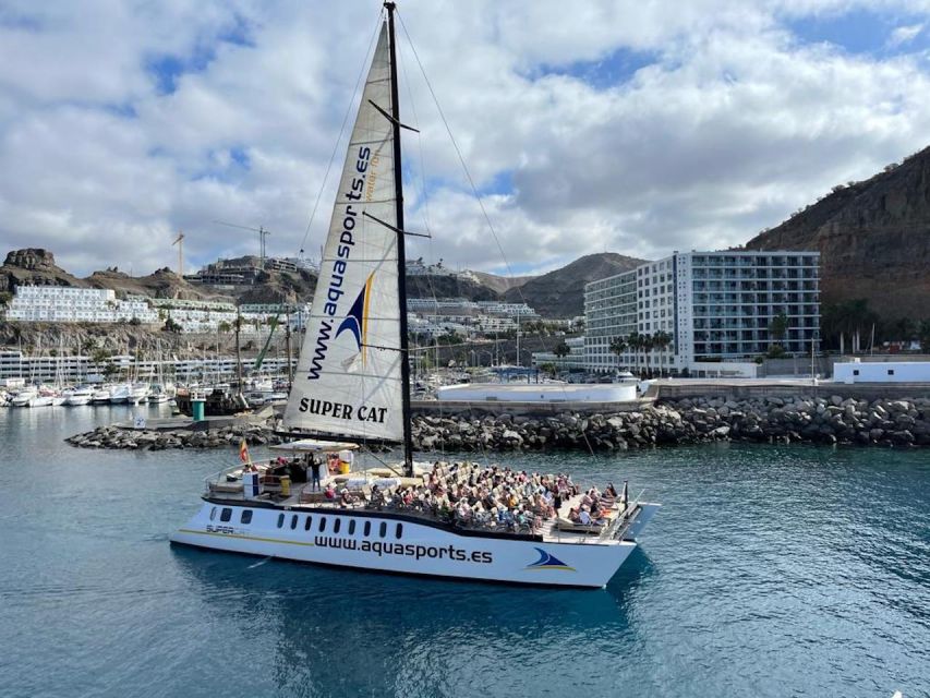 Puerto Rico de Gran Canaria: Premium Dolphin Catamaran Tour - Super Cat option: when you want a more private celebration