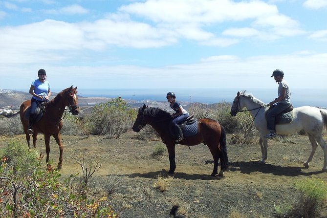 Relaxing Horse Riding Tour in Gran Canaria - A calm break from the city, with real “horse time”