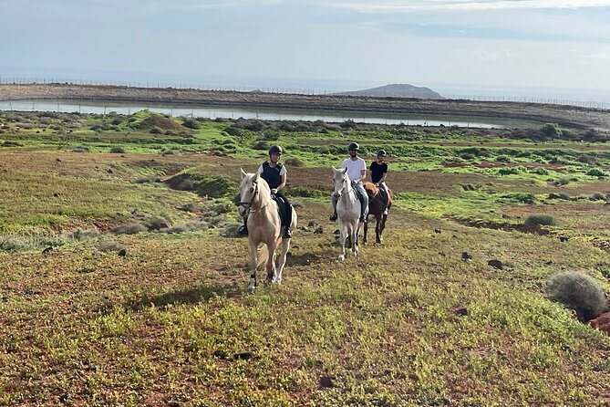 Relaxing Horse Riding Tour in Gran Canaria - Arena practice that helps you handle hills without panicking