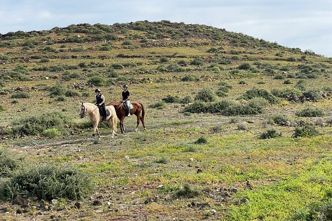 Relaxing Horse Riding Tour in Gran Canaria - Price and value: why $42.17 can be a good deal