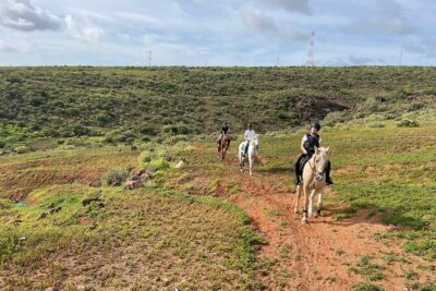Relaxing Horse Riding Tour in Gran Canaria - The ride itself: fields, sea-and-mountain views, and a cultural stop