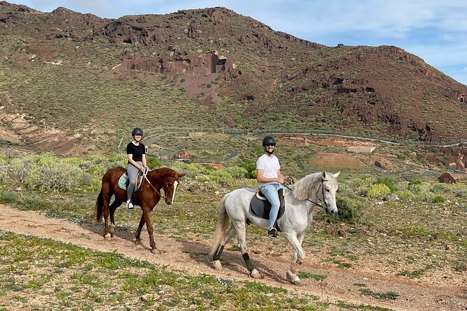 Relaxing Horse Riding Tour in Gran Canaria - Who this tour suits best (and who should choose another option)